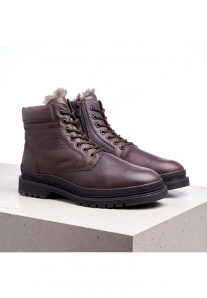 LLOYD HOLLIS Stiefeletten Braun | XZN245908