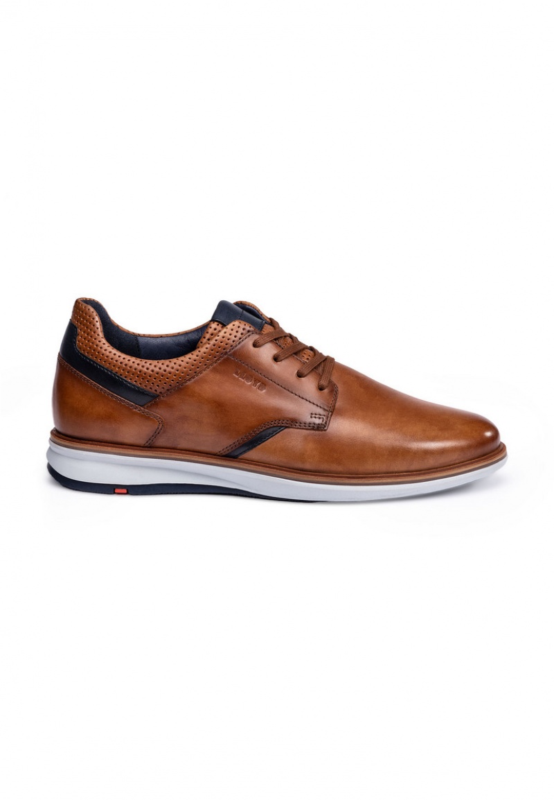 LLOYD KAYOR Low shoes Braun | PZF561879