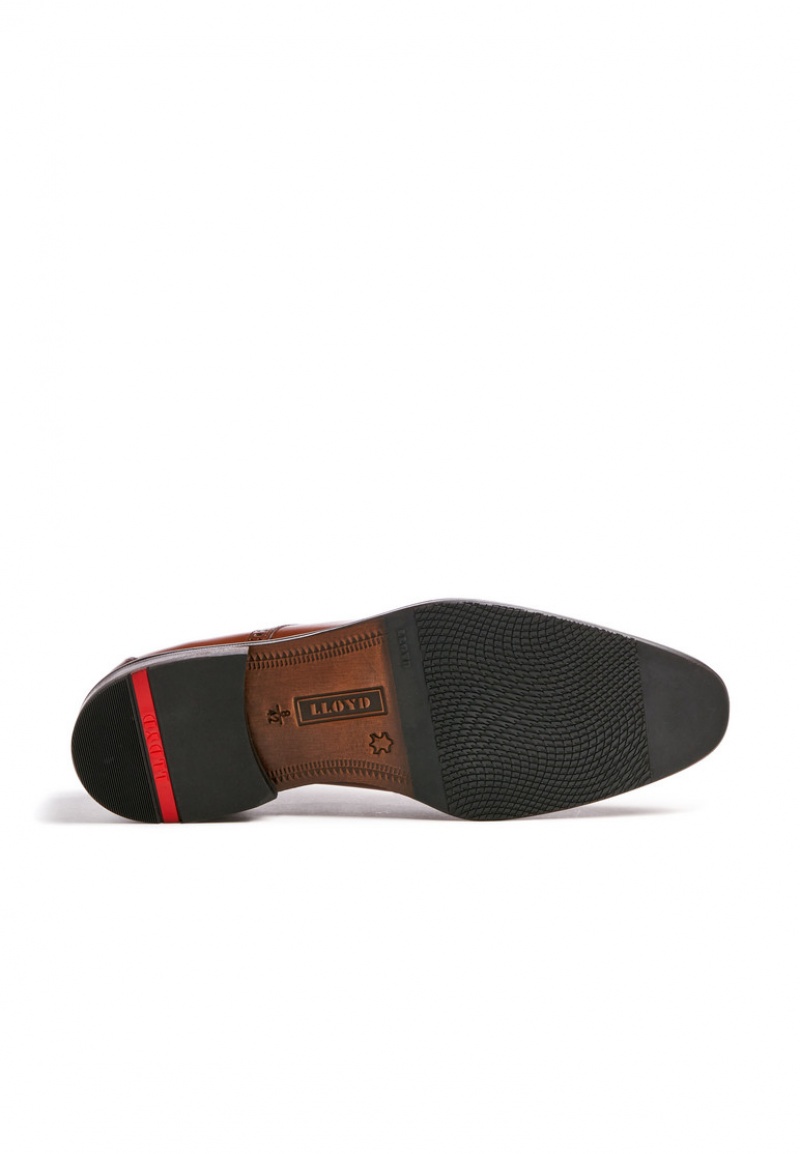 LLOYD LUCIEN Low shoes Braun | XWF450873