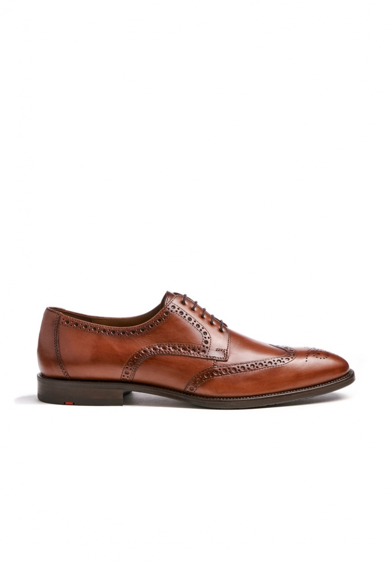 LLOYD LUCIEN Low shoes Braun | XWF450873