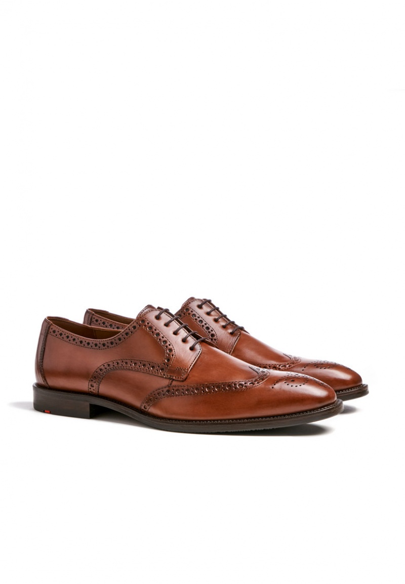 LLOYD LUCIEN Low shoes Braun | XWF450873